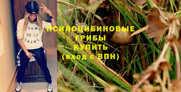эйфоретик Новодвинск
