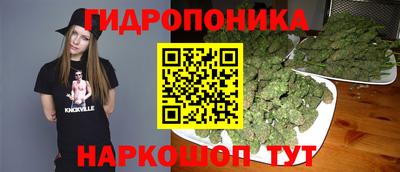марки lsd Гусиноозёрск
