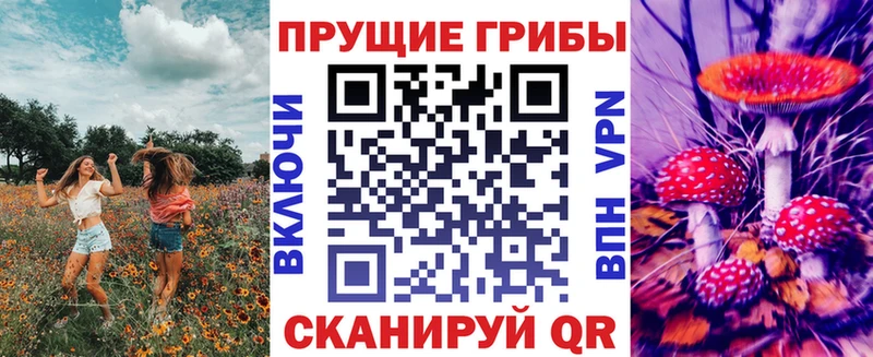 Псилоцибиновые грибы MAGIC MUSHROOMS что такое наркотик гидра ссылки Красный Сулин